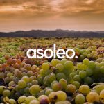 Asoleo-blog-Viznaga
